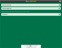 Tablet Screenshot of bullsguide.com